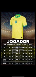 VERSION JUGADOR